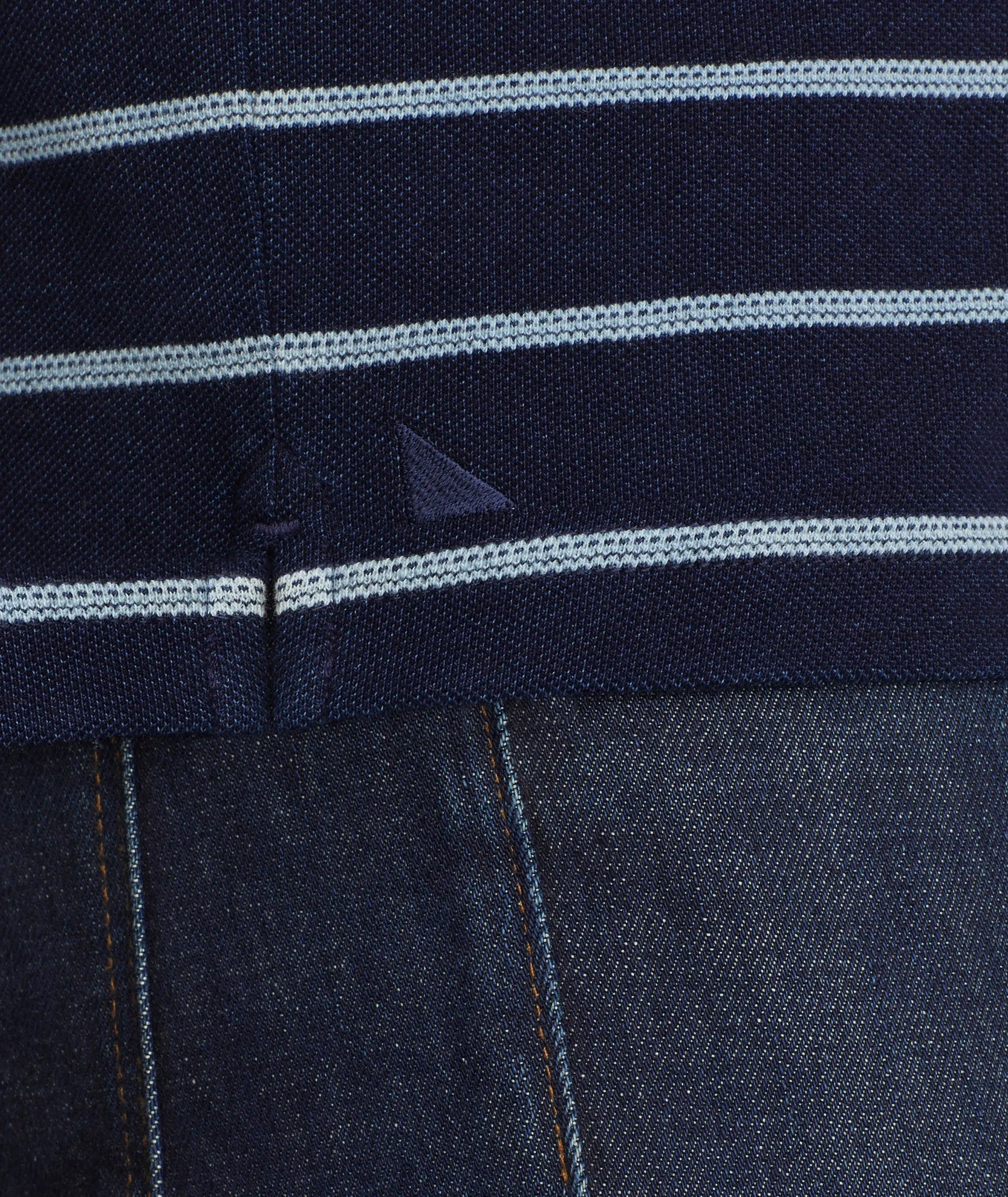 Striped Indigo Polo